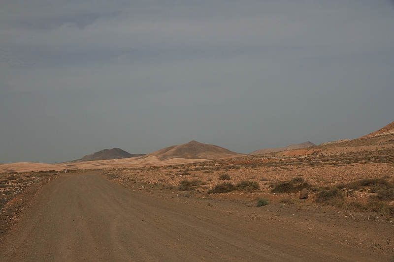 Kanary_2010 204